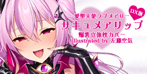 愛聖天使ラブメアリー サキュメアリップ 爆乳立体枕カバーDX版 illustrated by 左藤空気